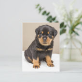 Rottweiler Welpenportrait Postkarte (Stehend Vorderseite)