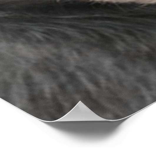 Rottweiler-Welpenposter Poster (Ecke)