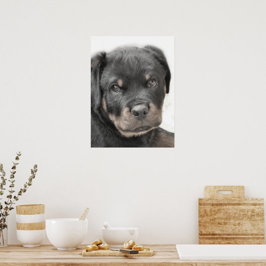Rottweiler-Welpenposter Poster (Küche)