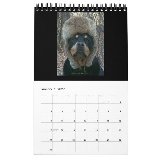 Rottweilers 2014 durch Diane-Kalender Kalender (Jan 2027)