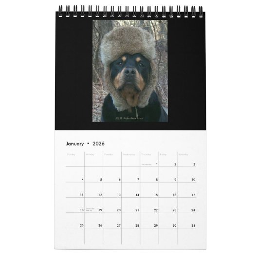 Rottweilers 2014 durch Diane-Kalender Kalender (Jan 2026)