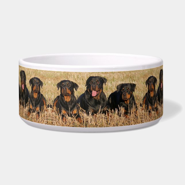 Rottweilers Napf (Links)