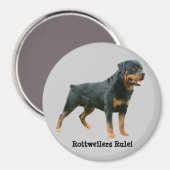 Rottweilers Rule Magnet (Vorderseite/Rückseite)