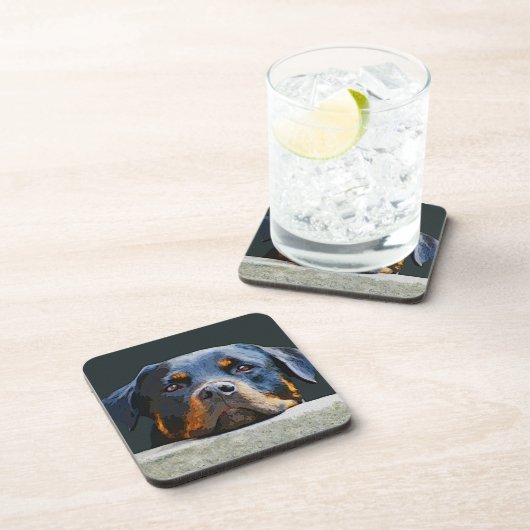 Rottwelier Getränkeuntersetzer (Rechte Seite)