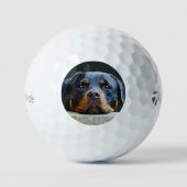 Rottwelier Golfball (Vorderseite)