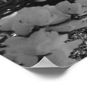 Rotunda und Blume Poster (Ecke)