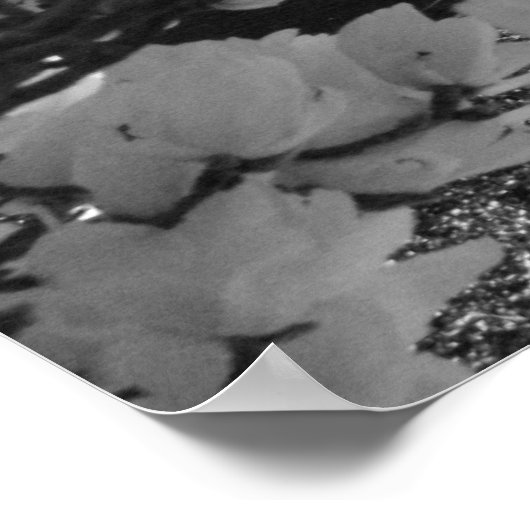 Rotunda und Blume Poster (Ecke)