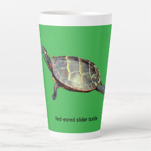 Rotwangen-Schmuckschildkröte Milchtasse