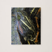Rotwangen-Schmuckschildkröte, Trachemys scripta el Puzzle (Vertikal)