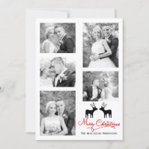 Rotweihweih-Hirsche, frisch vermählt Foto Collage