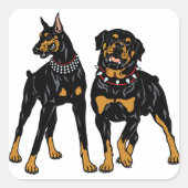 Rotweiler und Doberman Quadratischer Aufkleber (Vorderseite)