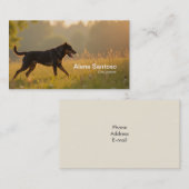 Rotweiller Dog Visitenkarte (Vorne/Hinten)