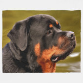 ROTWEILLER FLEECEDECKE (Vorderseite (Horizontal))