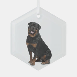 Rotweiller Hund Tierglas-Ornament Ornament Aus Glas