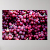 Rotwein Poster (Vorne)