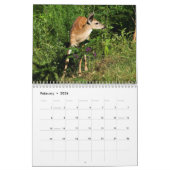 ROTWILD 2010 KALENDER (Feb 2026)