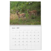 ROTWILD 2010 KALENDER (Mär 2027)
