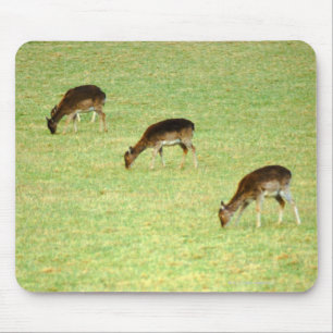 Rotwild 2 mousepad