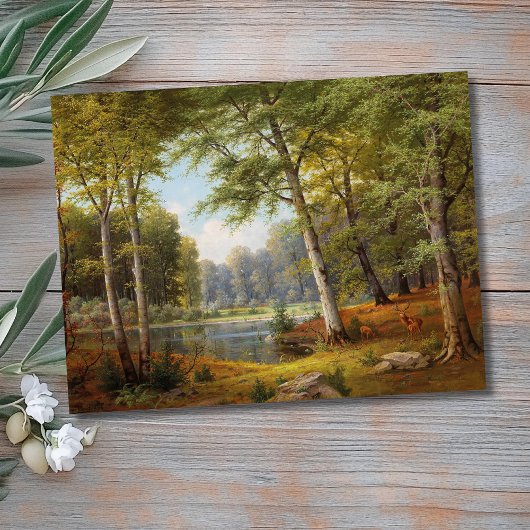 Rotwild am Waldteich Postkarte