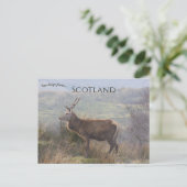 Rotwild auf Islay Schottland Postkarte (Stehend Vorderseite)
