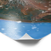 Rotwild (Cervus elaphus) Fotodruck (Ecke)