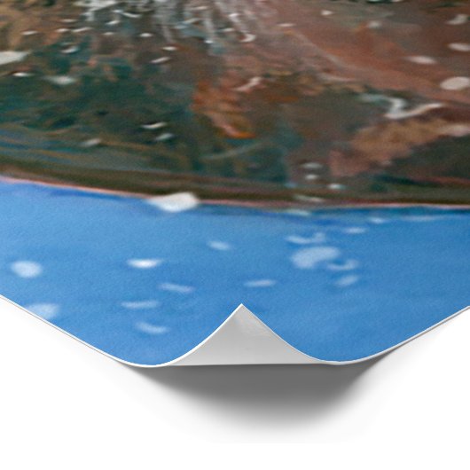 Rotwild (Cervus elaphus) Poster (Ecke)