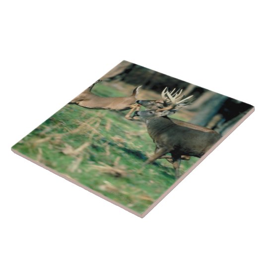 Rotwild, die in Wald laufen Fliese (Seite)