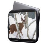 Rotwild-Dollar im Schnee im Winter Laptopschutzhülle (Vorderseite Links)