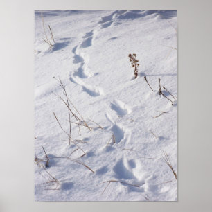 Rotwild druckt Schnee-Plakat Poster