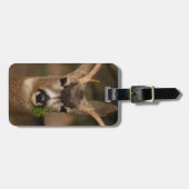 Rotwild Gepäckanhänger (Vorderseite horizontal)