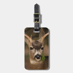 Rotwild Gepäckanhänger