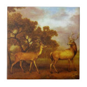 Rotwild-Hirsch und Hinter durch George Stubbs Fliese (Vorderseite)