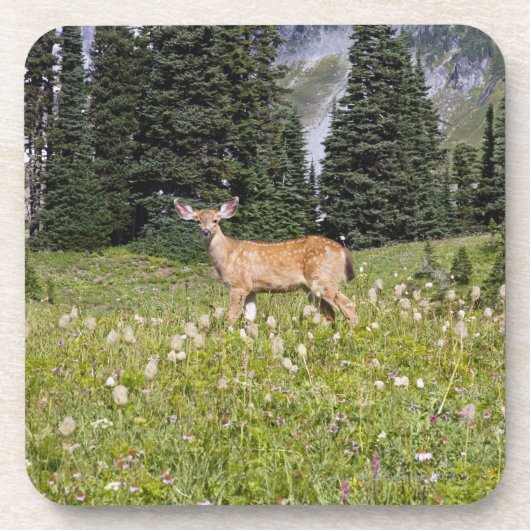 Rotwild im Paradies-Park Untersetzer (Vorderseite)