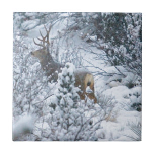 Rotwild im Schnee Fliese