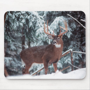 Rotwild im Schnee Mousepad