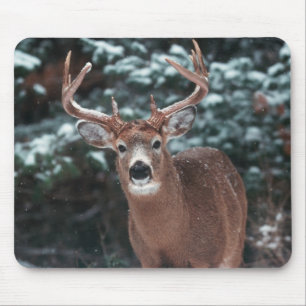 Rotwild im Schnee Mousepad