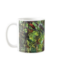 Rotwild in den Gärten nach dem Frost