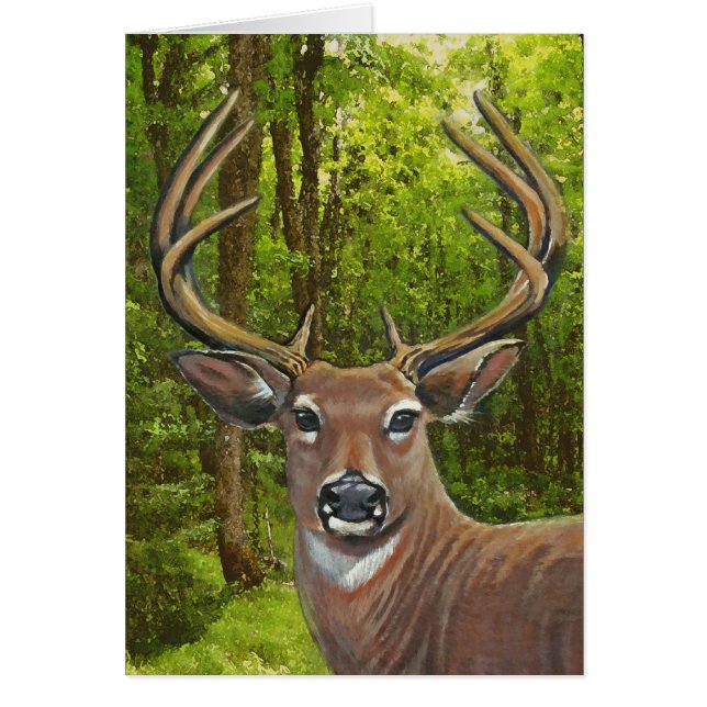 Rotwild in der Aschen-Wiese (Vorne)