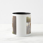 Rotwild in der Stadt Tasse (Zentrum)