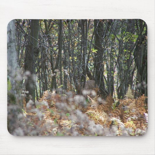 Rotwild in West Virginia Mousepad (Vorne)