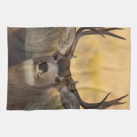 Rotwild Küchentuch (Horizontal)