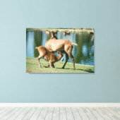 Rotwild Leinwanddruck (Insitu (Holzboden))