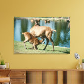 Rotwild Leinwanddruck (Insitu (Wohnzimmer))