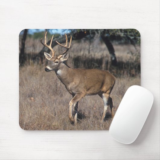 Rotwild Mousepad (Mit Mouse)