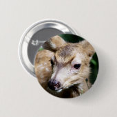 Rotwild-Nahaufnahme Button (Vorne & Hinten)