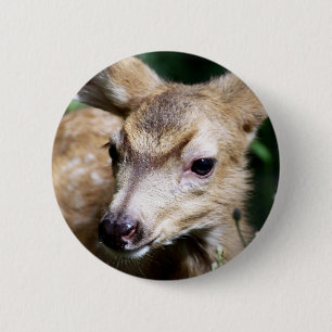 Rotwild-Nahaufnahme Button