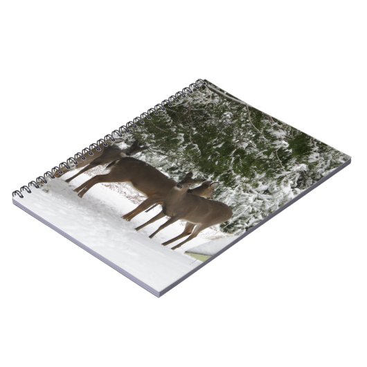 Rotwild Notizblock (Linke Seite)