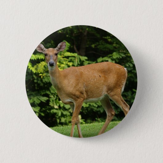 Rotwild-runder Knopf Button (Vorderseite)