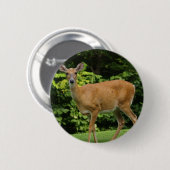 Rotwild-runder Knopf Button (Vorne & Hinten)