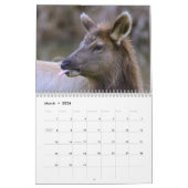 Rotwild-und der Elch-2015 Wandkalender - wild (Mär 2026)